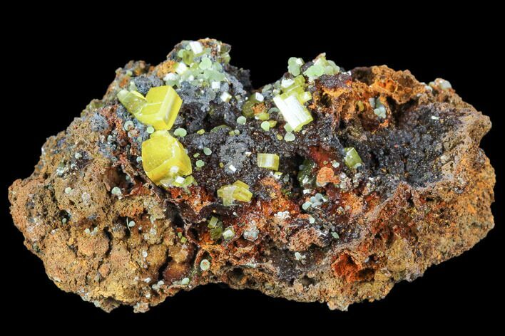 Wulfenite & Green Botryoidal Mimetite Association - Mexico #103517